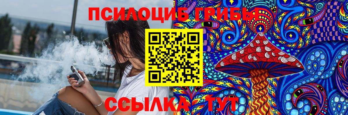 Псилоцибиновые грибы Psilocybine cubensis  Вход с VPN  Россия  наркошоп  Галлюциногенные грибы Cubensis 